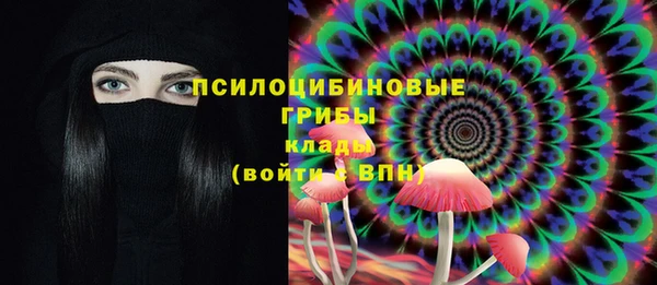 ешки Алексеевка