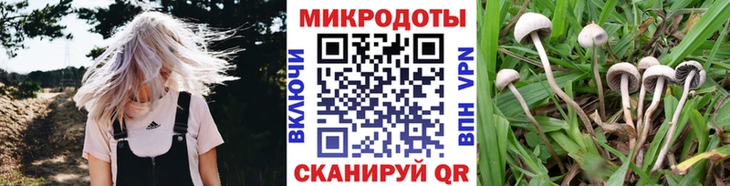 Галлюциногенные грибы Magic Shrooms Краснотурьинск